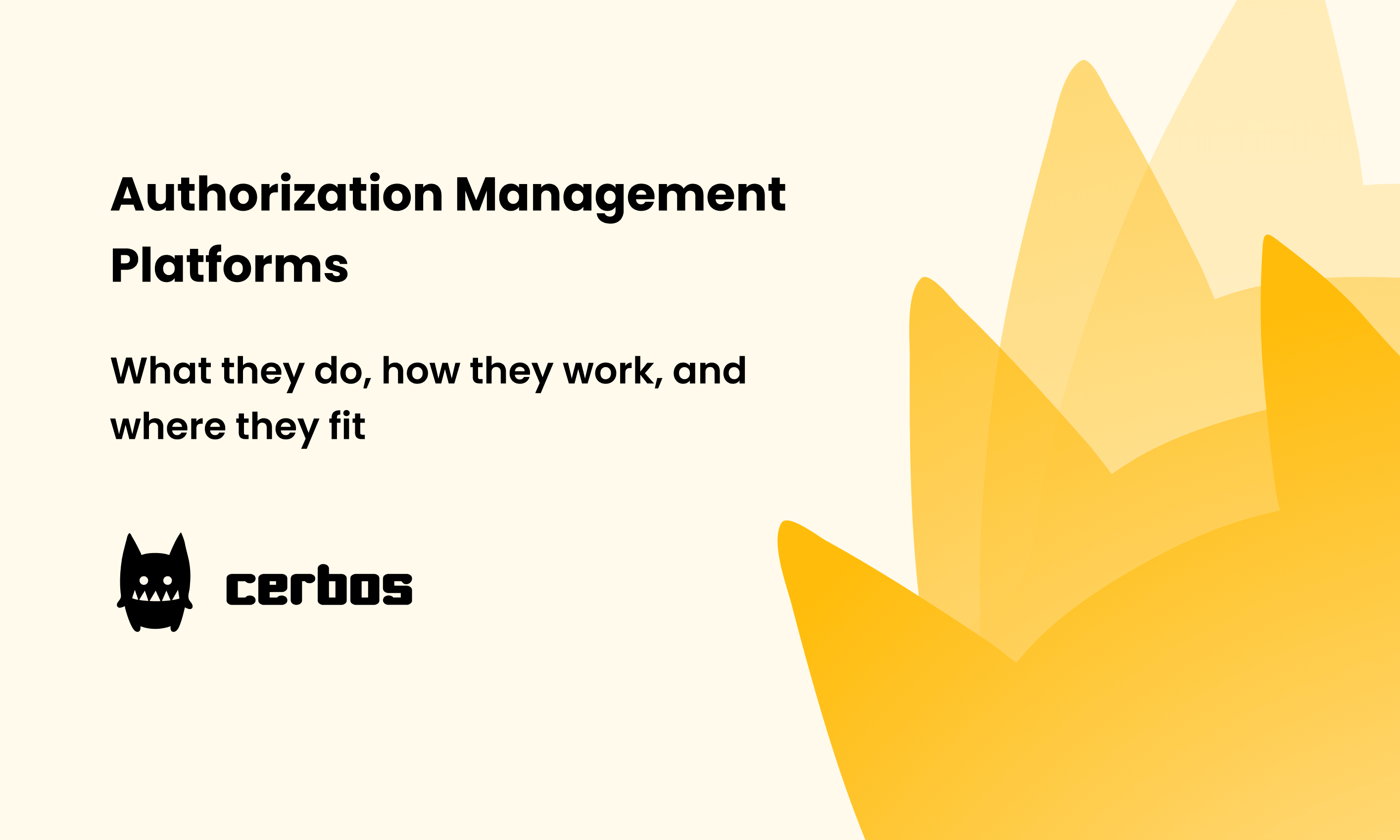 Authorization Management Platforms: What They Do, How They Work, and ...